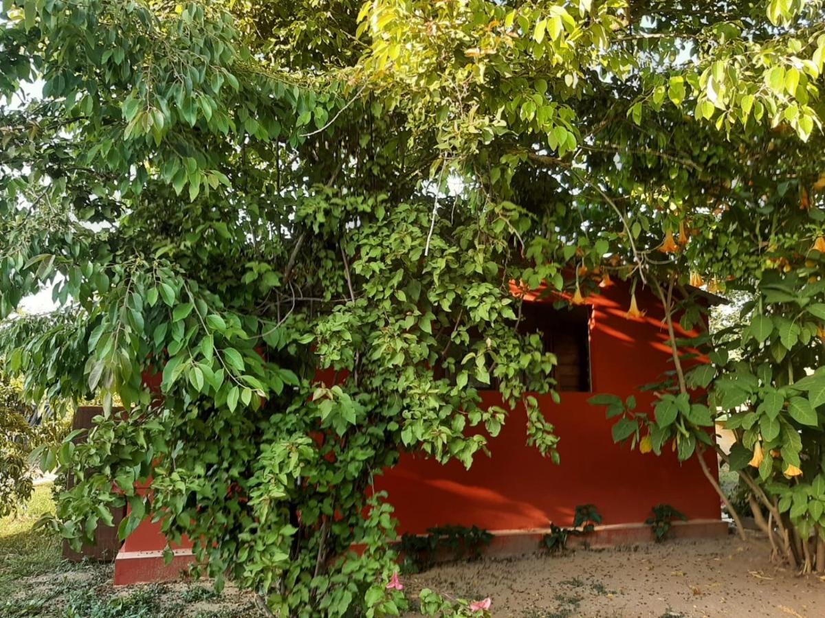 Casa Di Campagna Dal Pozzo Sorso Exterior foto